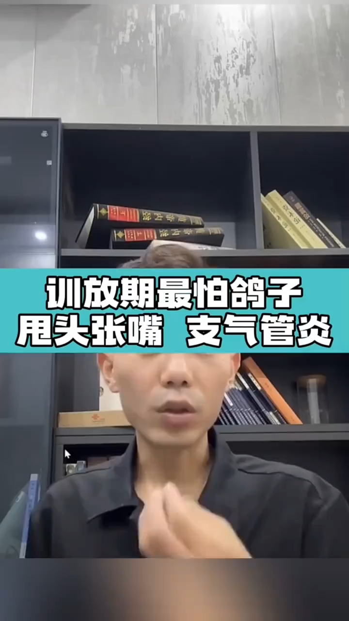 分享视频