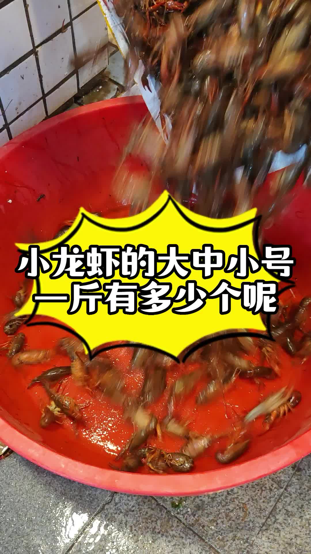 大中小号小龙虾一斤各有多少个呢?