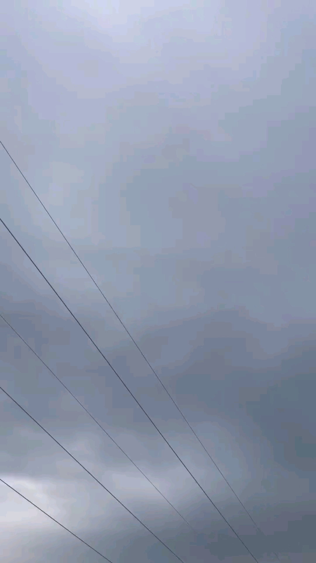 开始种露天空心菜了,晚上温度有16度以上就可以了