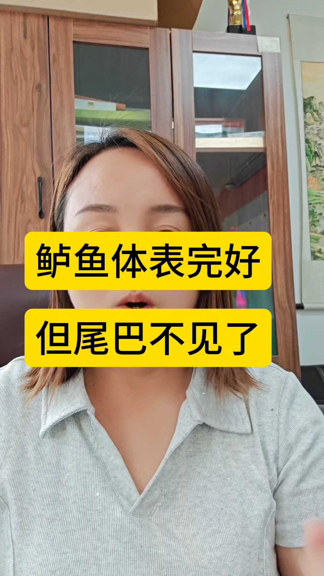 鲈鱼体表完好,但尾巴不见了,刚开始尾巴红,有尾冲后面断尾。