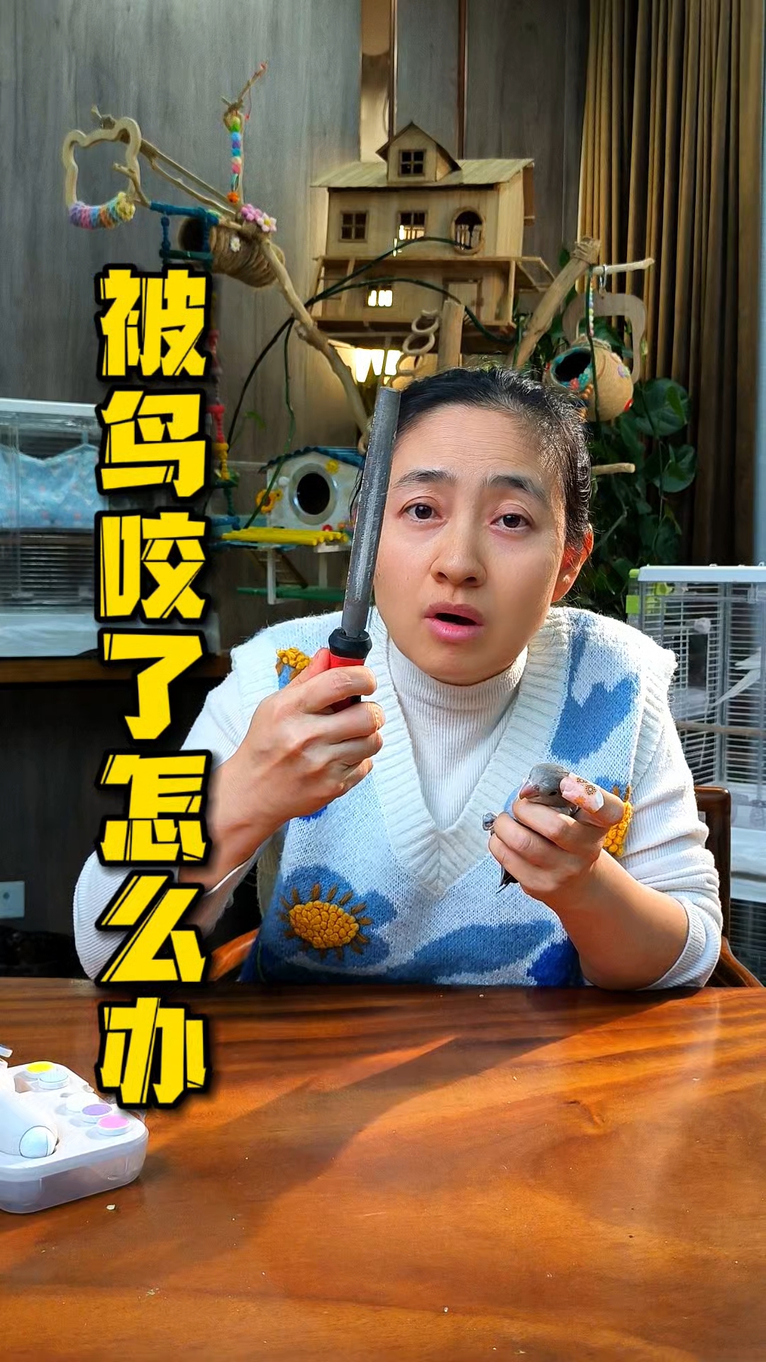 被鹦鹉咬伤怎么办
