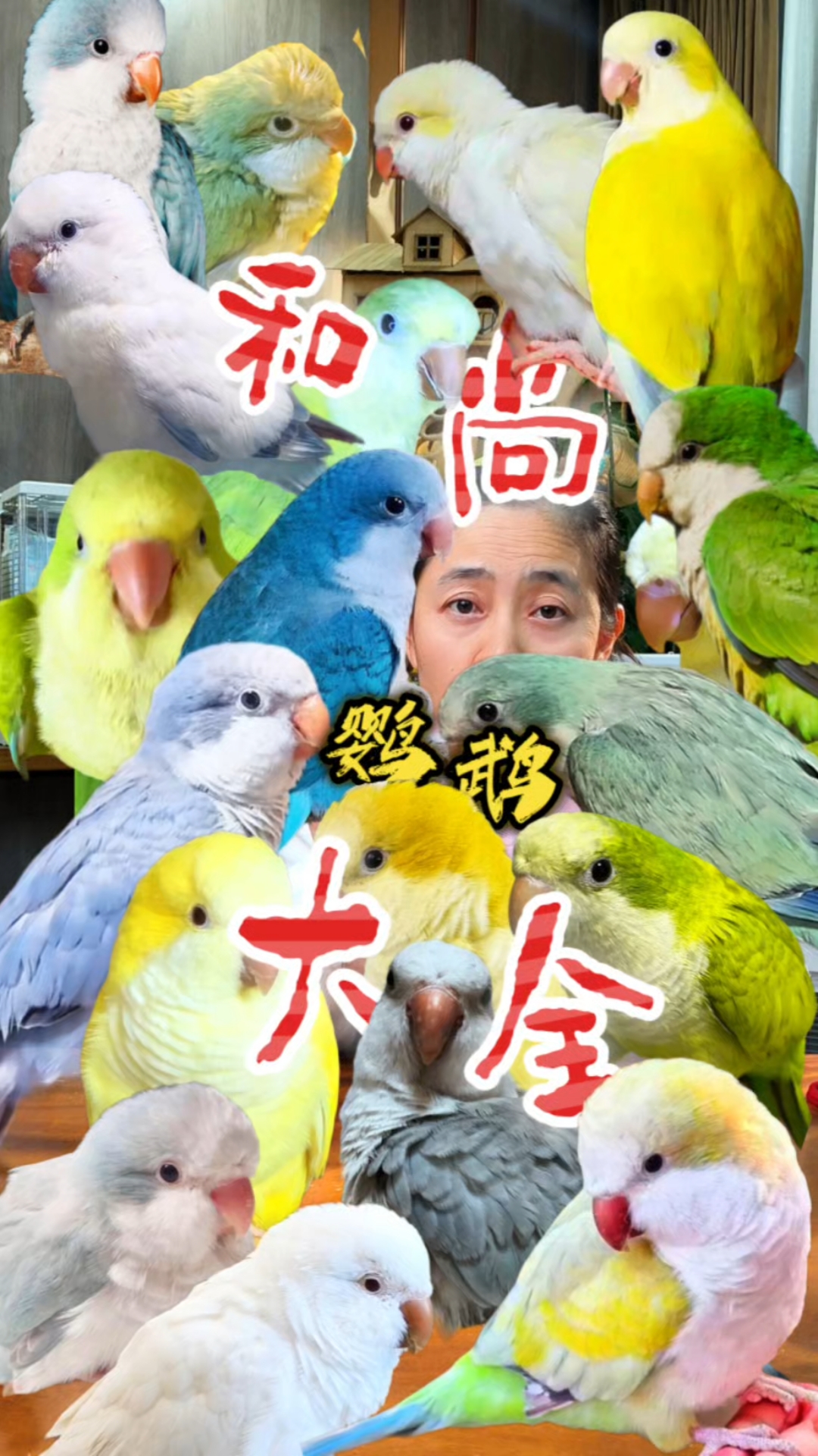 和尚鹦鹉品种大全