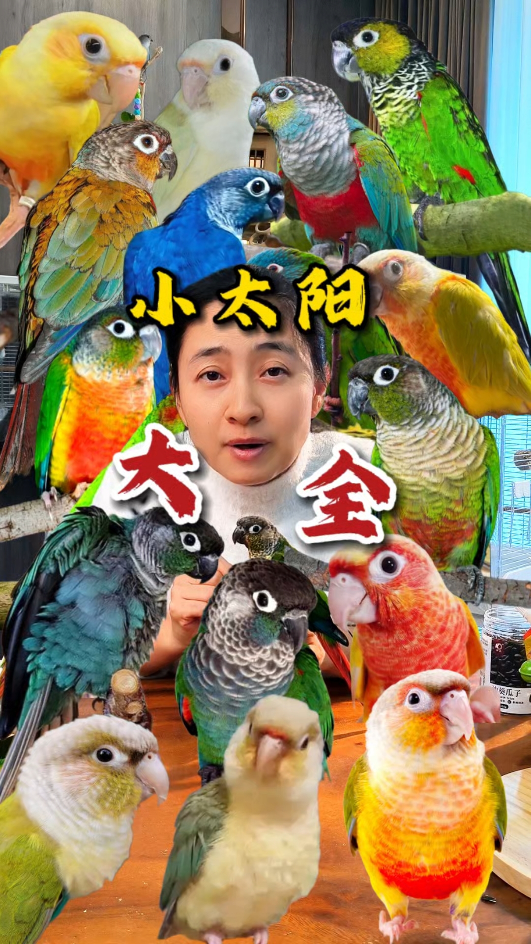 小太阳鹦鹉品种大全