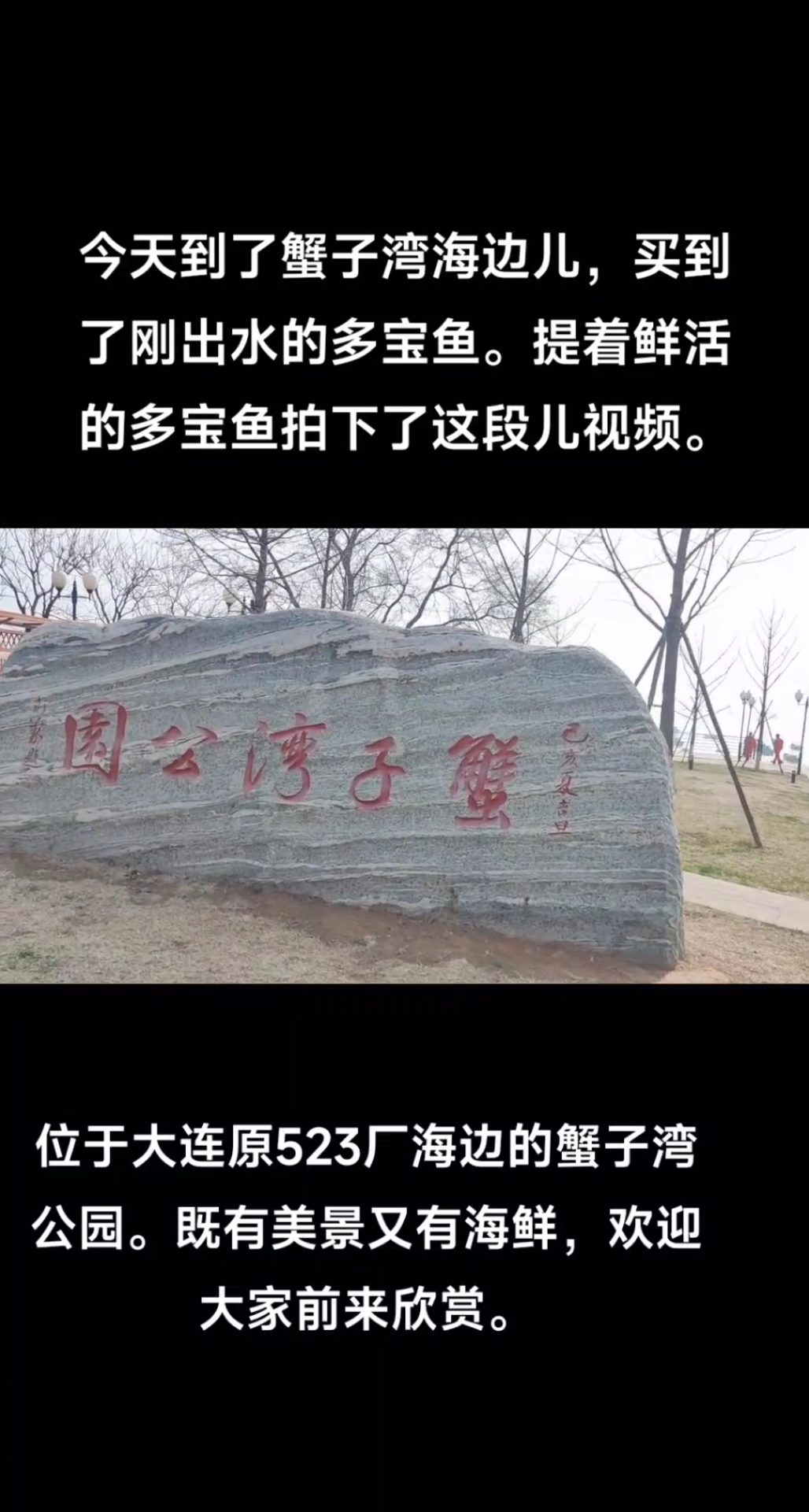 大连蟹子湾公园不仅有美景,还有鲜活海鲜。