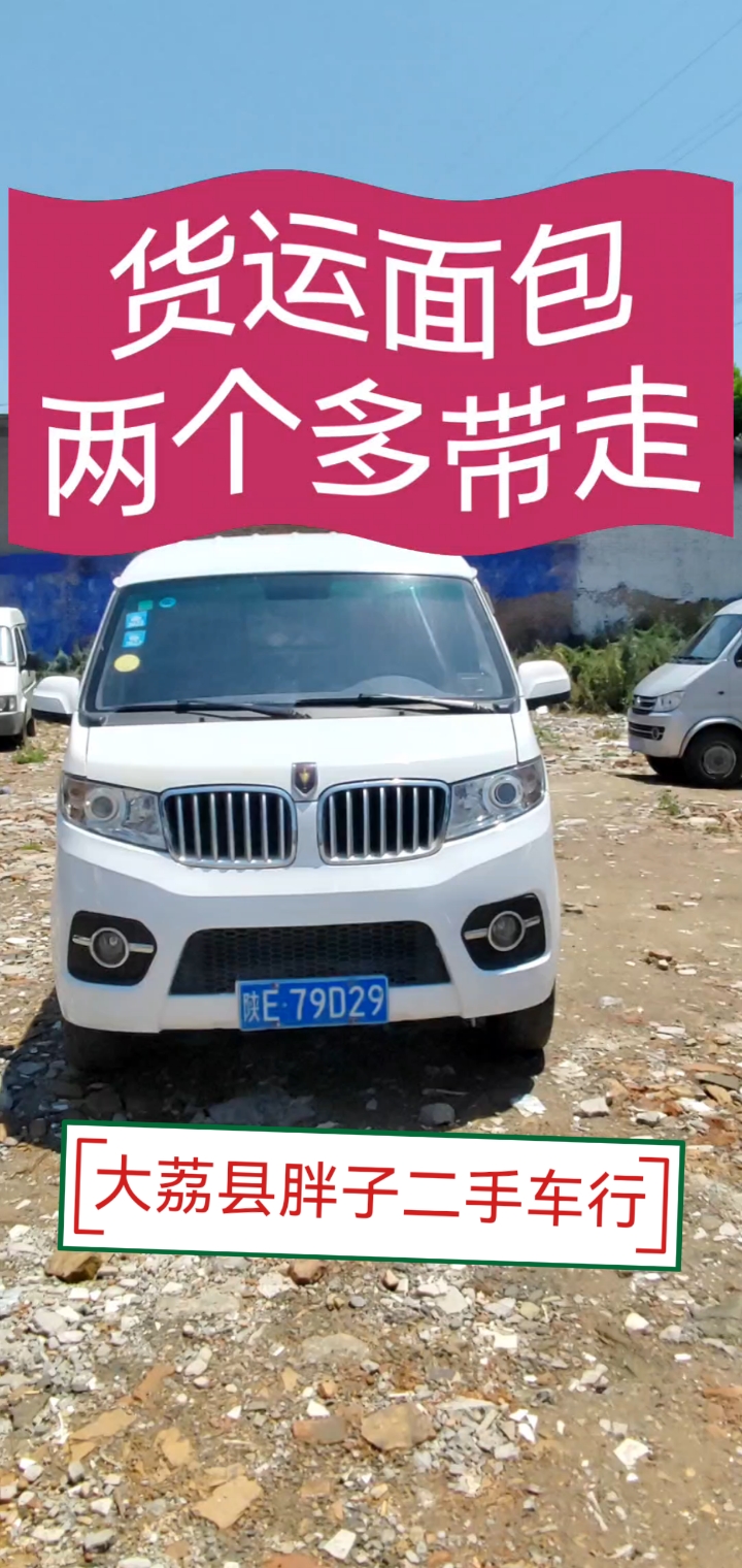 金杯小海狮货运面包