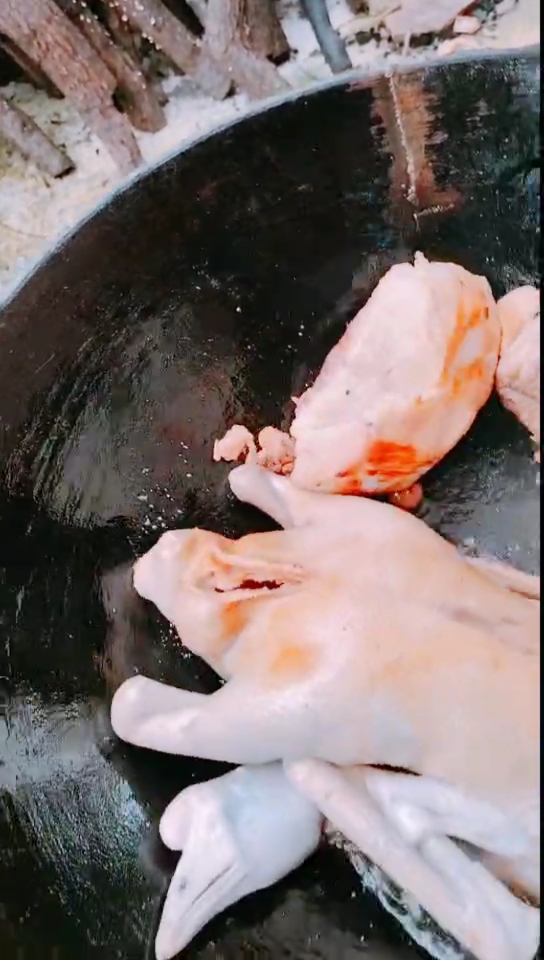 广东正宗碌鹅(特色菜)