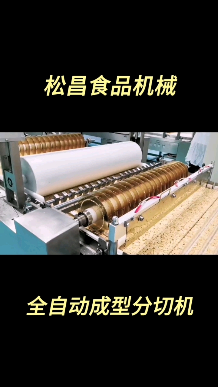 全自动成型切块机