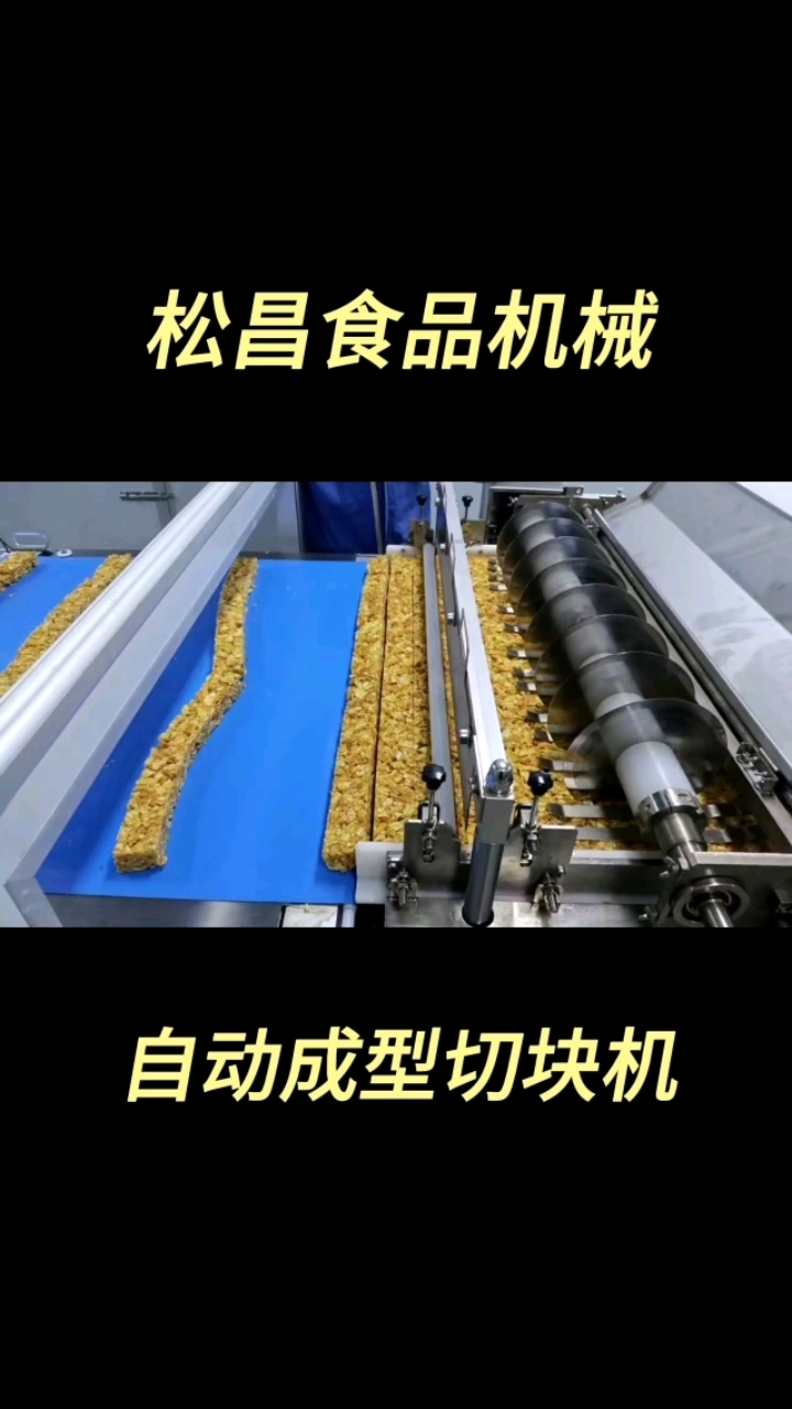 全自动成型切块机