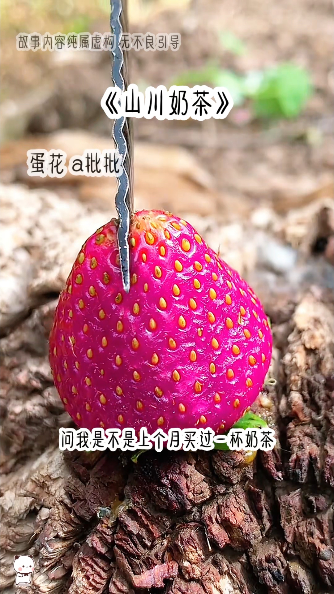 书茗《山川奶茶》