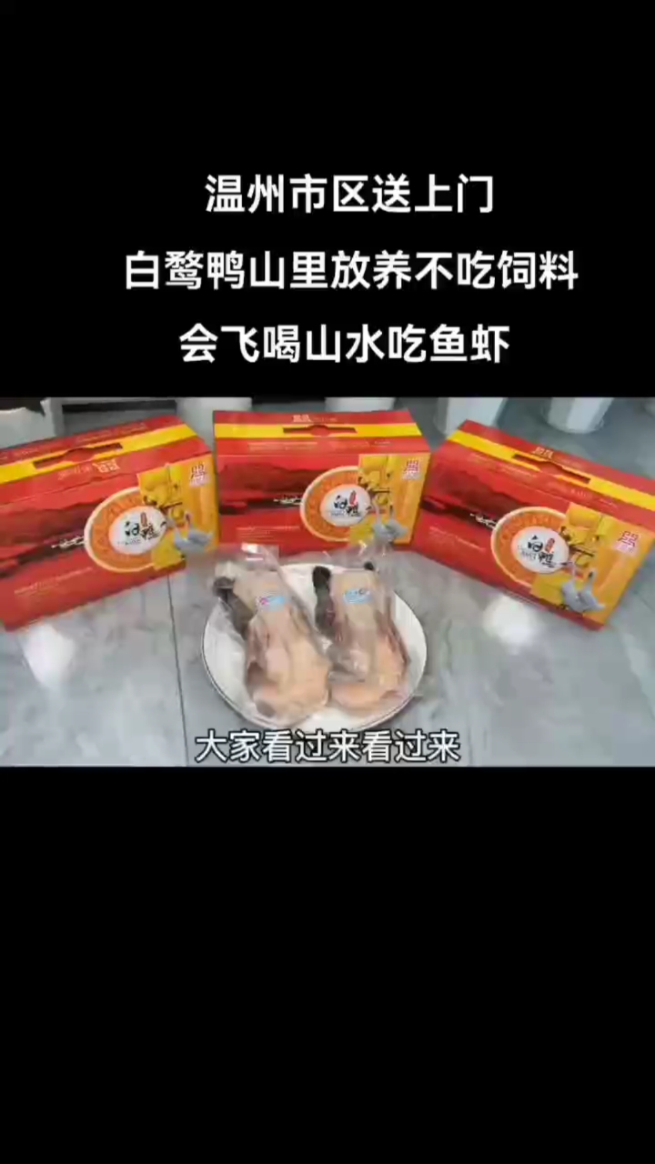 你吃过乌嘴白羽黑脚的鸭了吗?全国唯一药食同源鸭(白鹜鸭)
