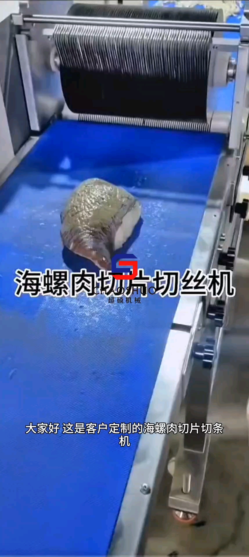 #海螺肉切片机#牛肉干切条机#切条机#肉类加工设备#切鸡块机