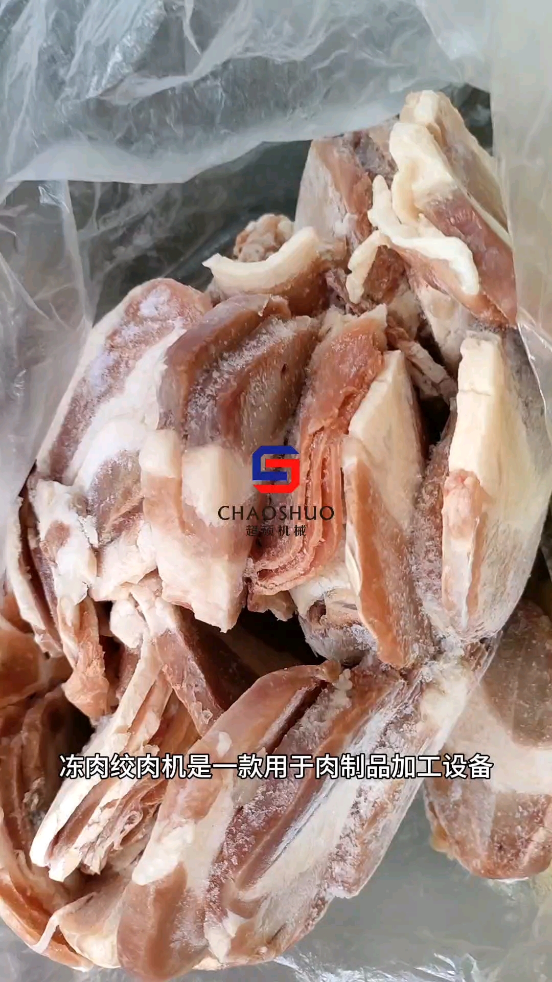 #冻肉绞肉机#冻盘绞肉机#鲜肉绞肉机#大型绞肉机#果蔬绞肉机