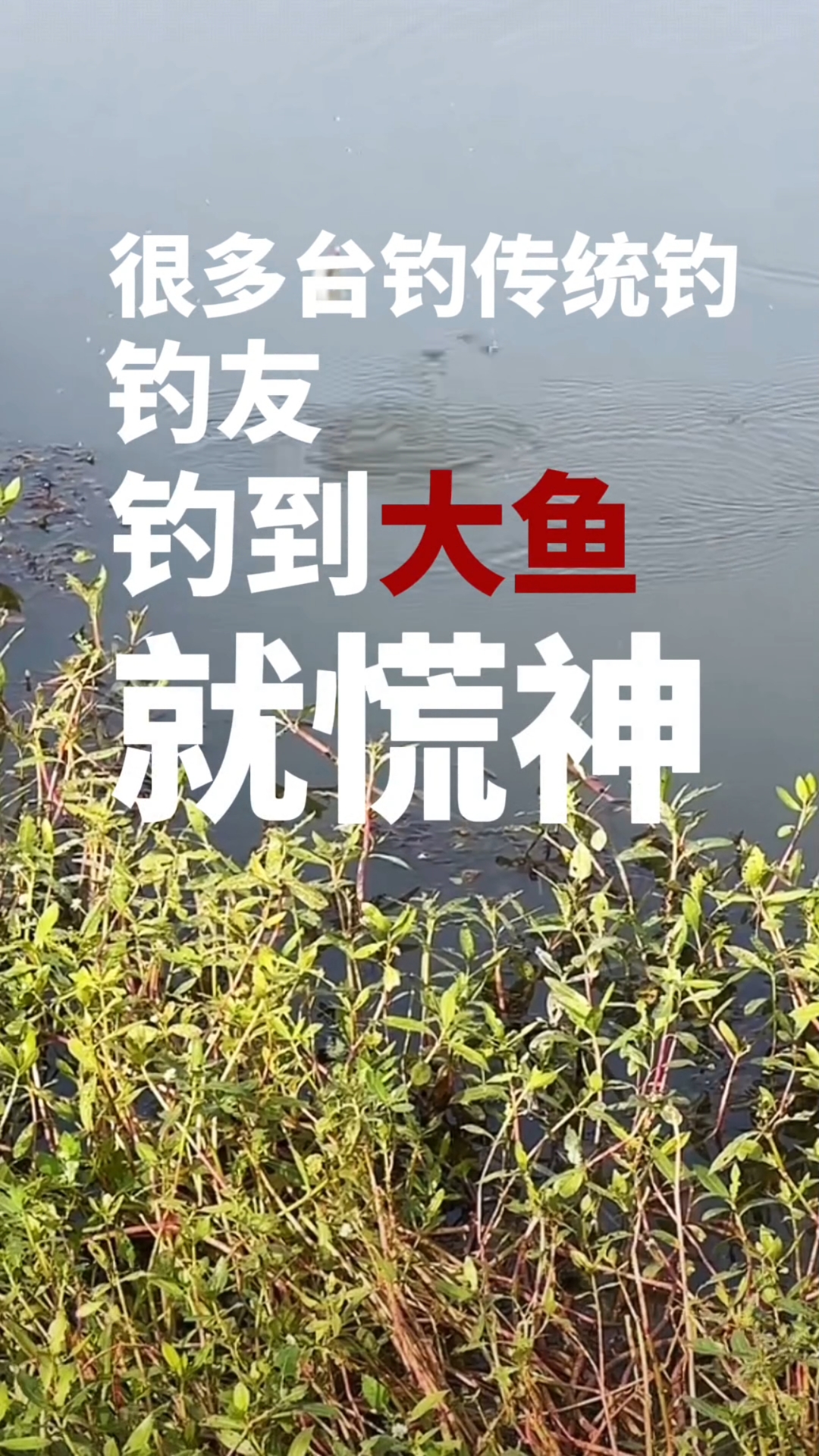 钓鱼人必看！遛鱼别硬拽，这3个技巧让大鱼“乖乖上岸”！