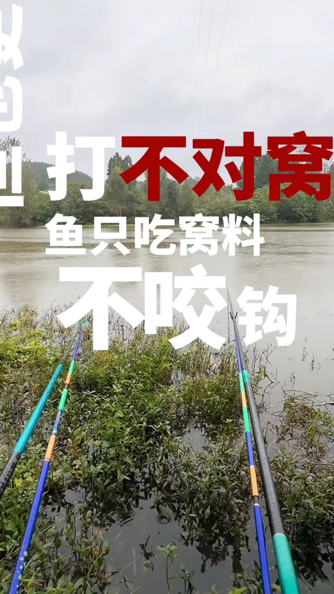 秋季打窝不踩坑！掌握3个“留鱼秘诀”，窝子发窝快、鱼久留！