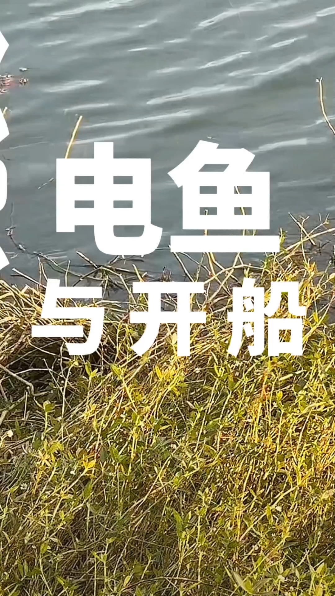钓鱼人必看：手持竹竿电鱼vs开船电鱼，鱼口恢复时间差在哪？