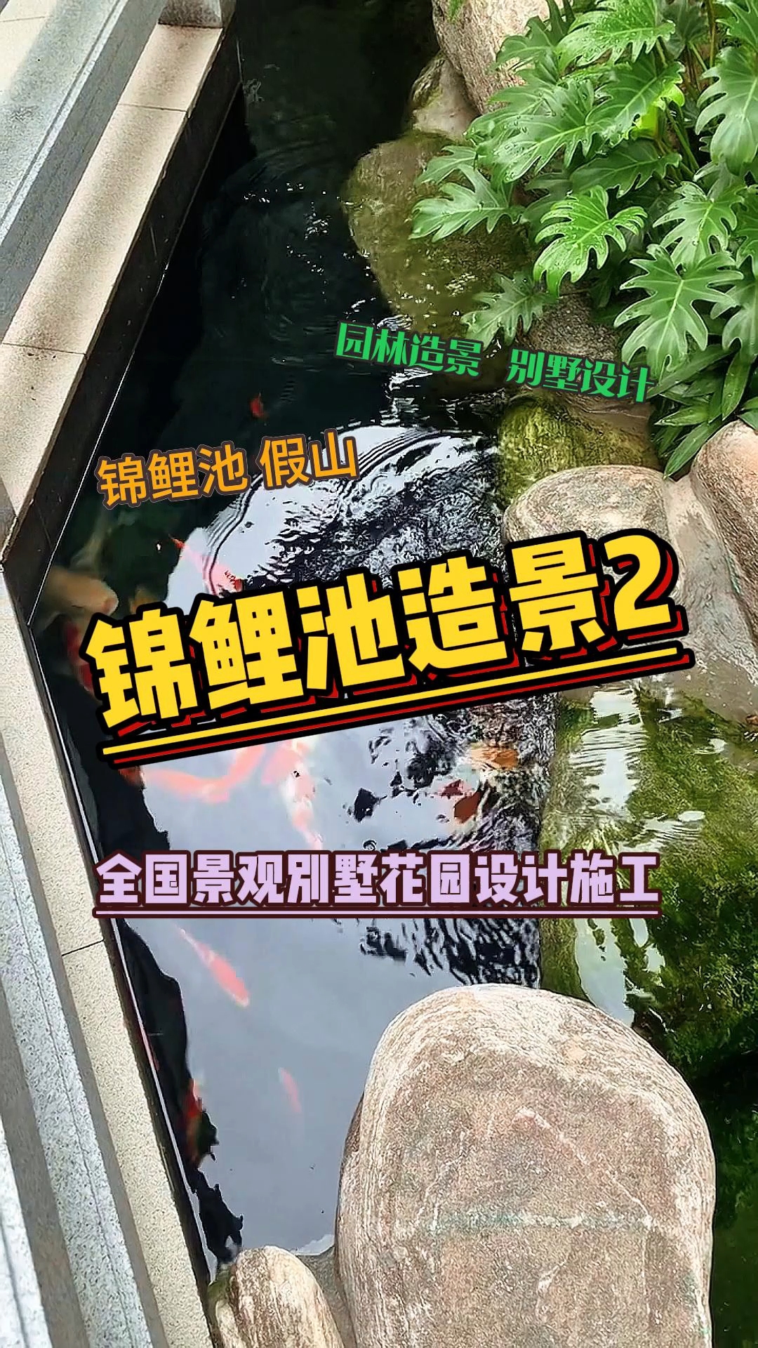 你家的鱼池没有做对哦 #别墅庭院植物 #花卉绿植 #园林景观