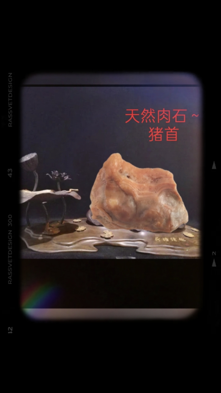 天然象形原石～请欣赏
