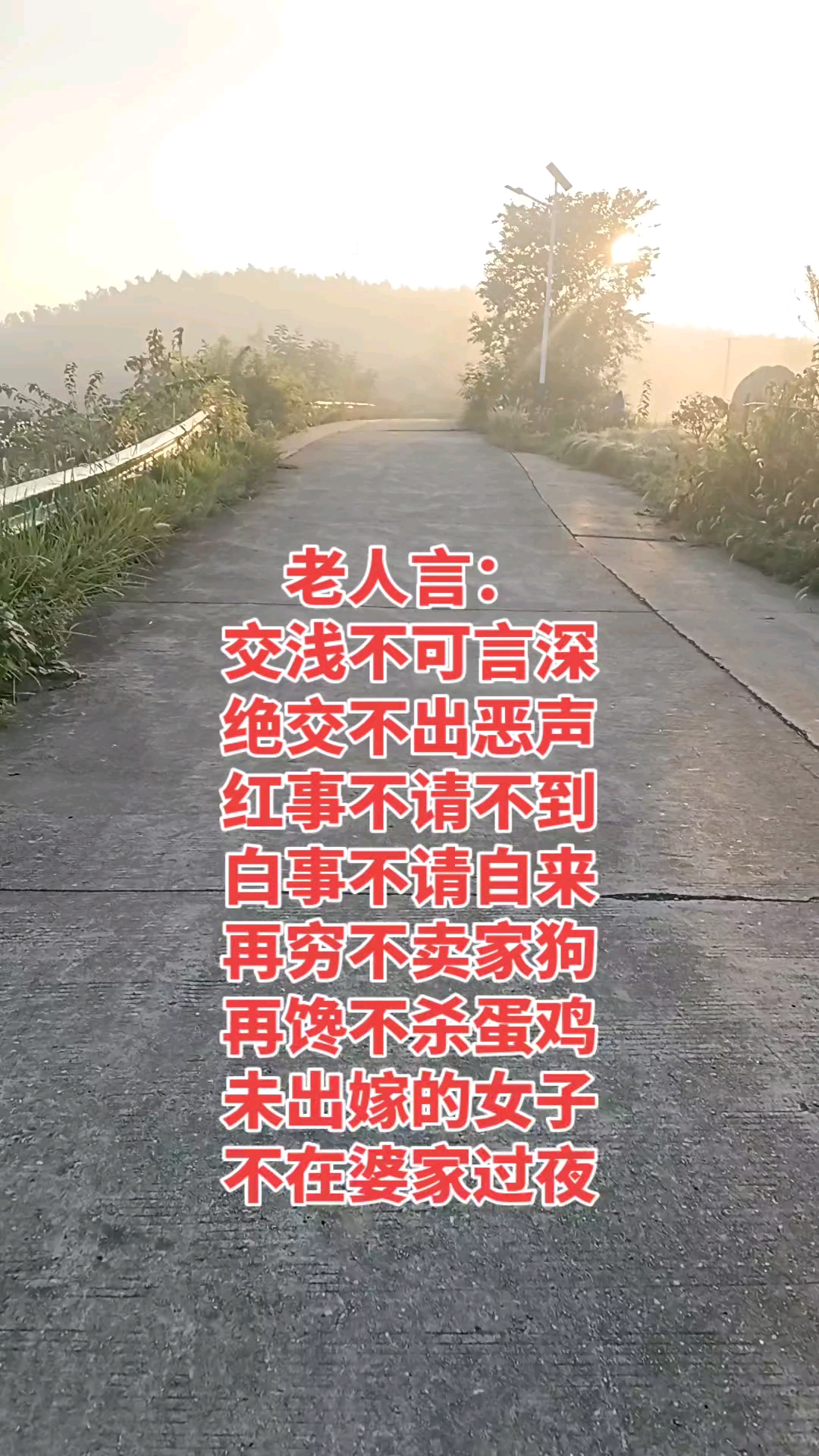 再馋不杀下蛋鸡