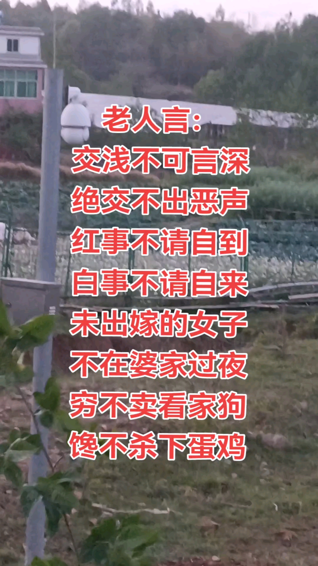 馋了不要杀下蛋的鸡。