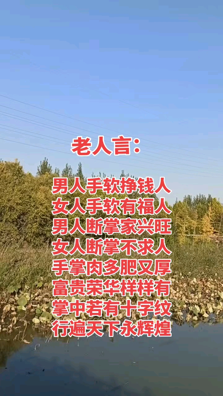 女人断掌不求人
