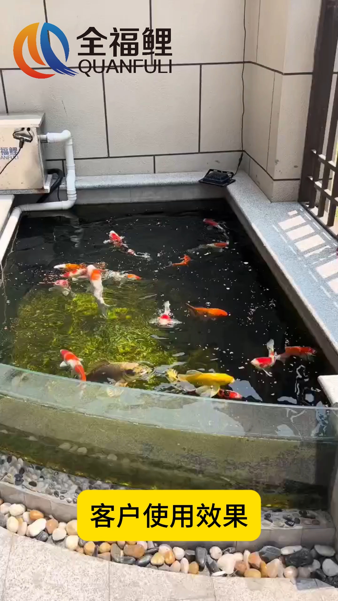 工厂直销，品质保证#鱼池过滤器#庭院鱼池#别墅鱼池