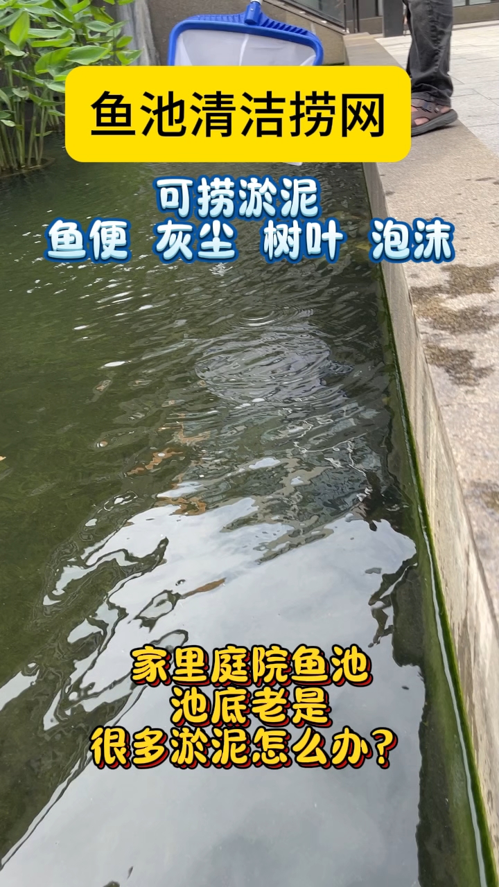 家里庭院鱼池总是很多淤泥怎么办#鱼池清洁捞网#庭院鱼池