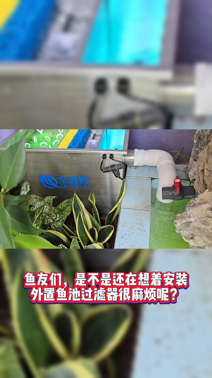 外置鱼池过滤器,安装简单!#鱼池过滤器#庭院鱼池#别墅鱼池