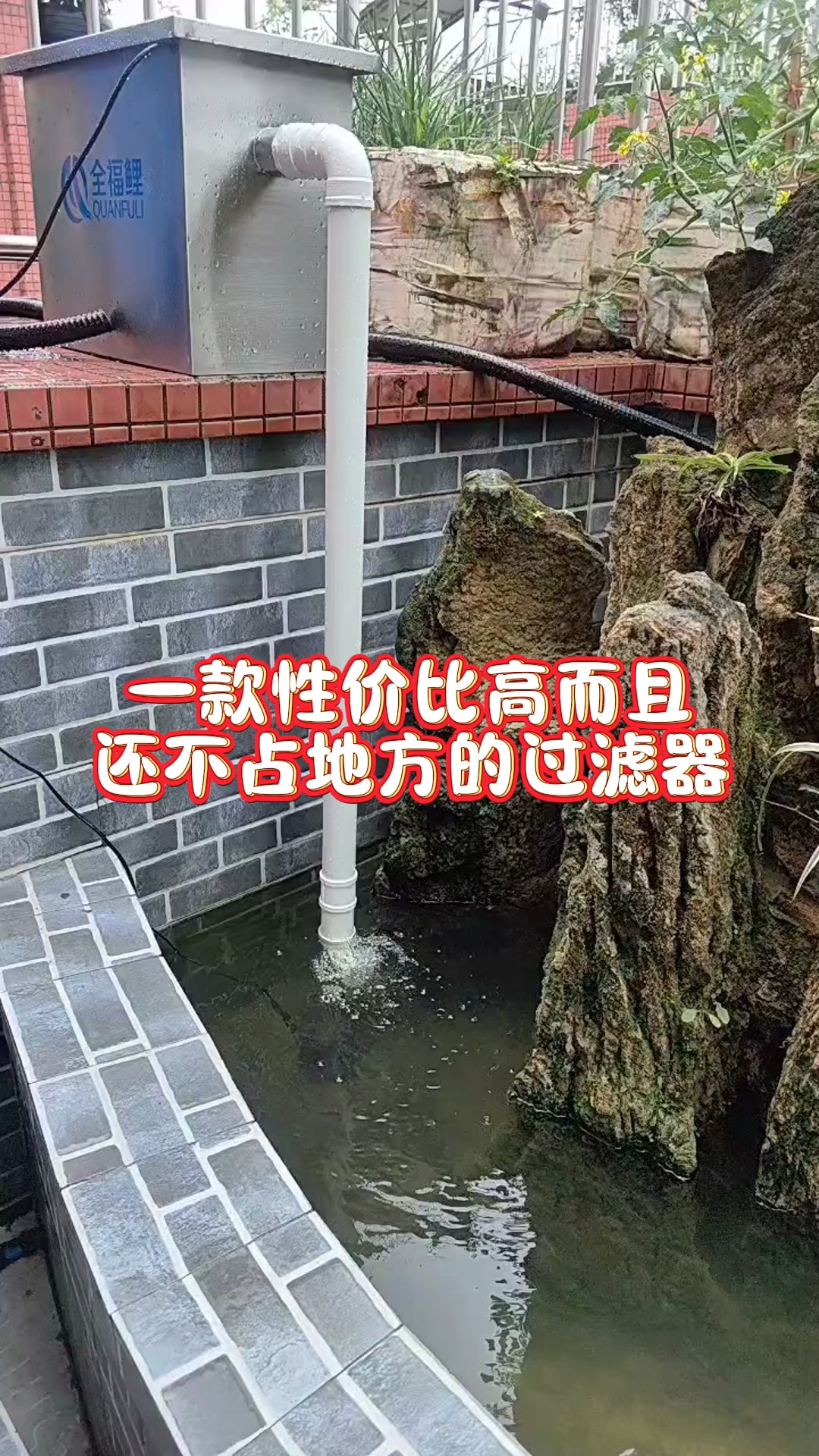 一款性价比高还不占地方的鱼池过滤器#鱼池过滤器#庭院鱼池