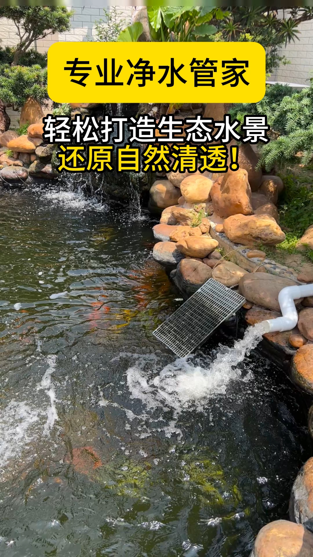 家用型的外置鱼池过滤器,好安装打理#鱼池过滤器#庭院鱼池