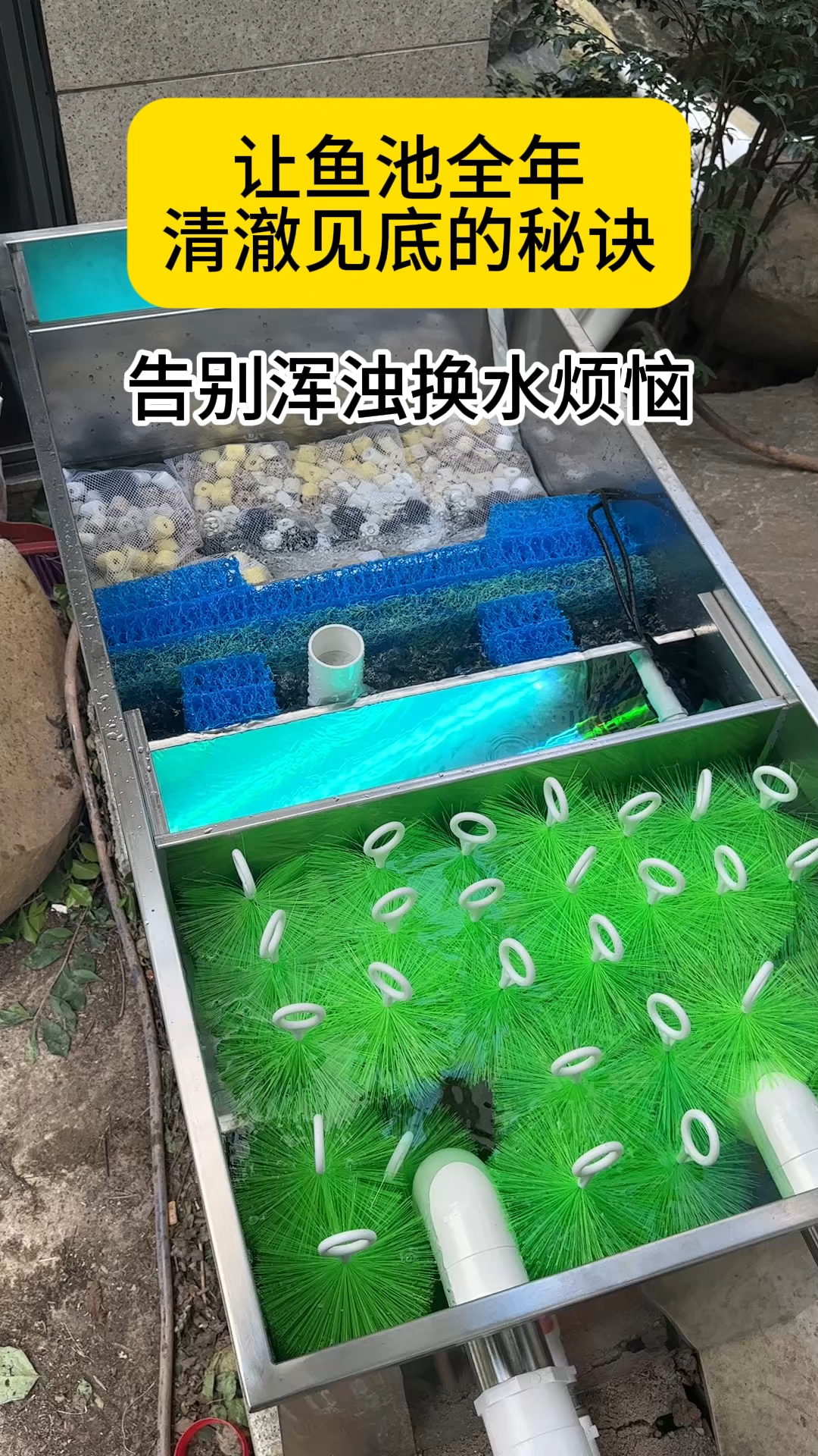 让鱼池全年清澈见底的秘密#鱼池过滤器#庭院鱼池#别墅鱼池