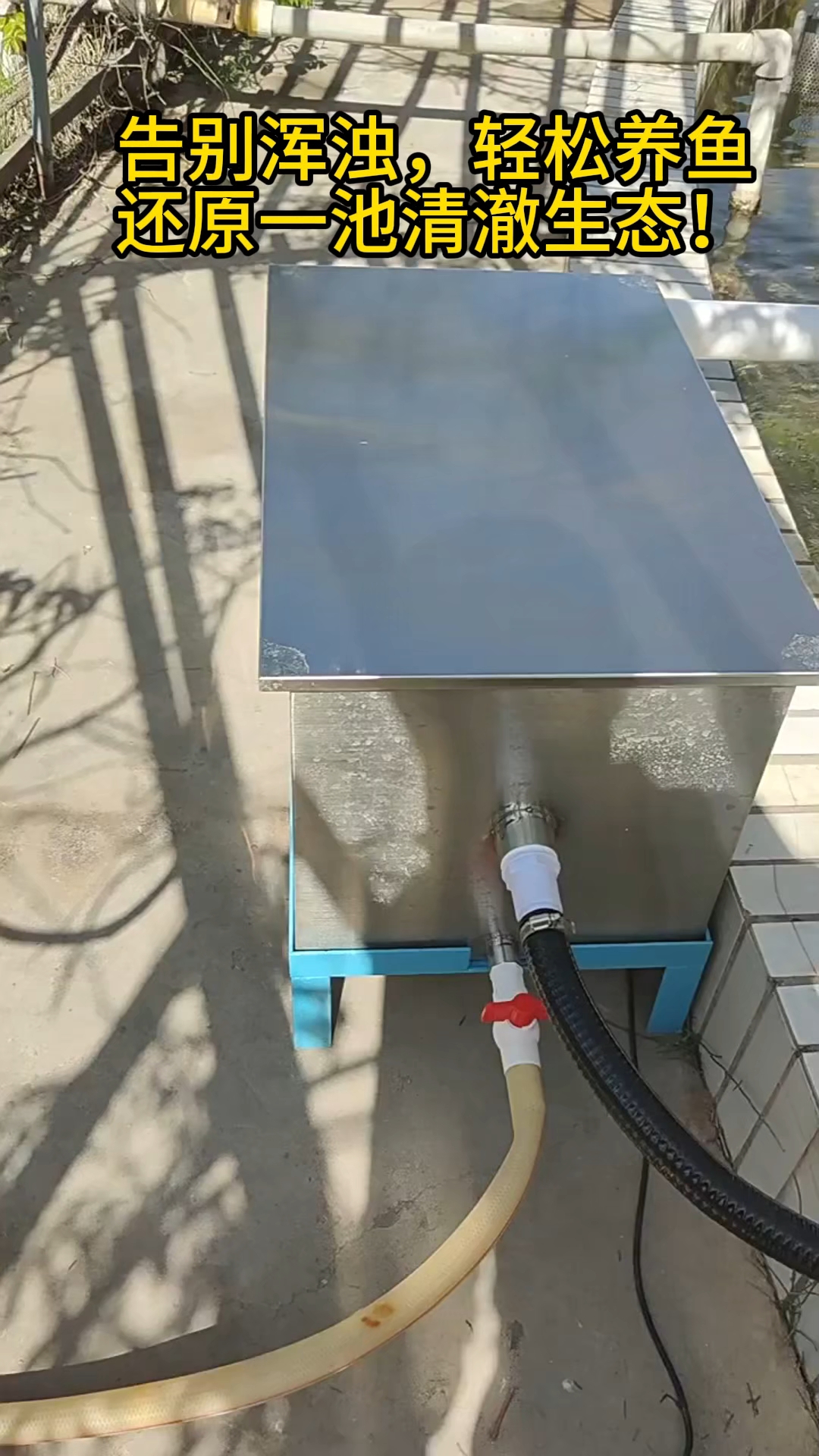 水清鱼靓,只需要一台外置鱼池过滤器#鱼池过滤器#庭院鱼池