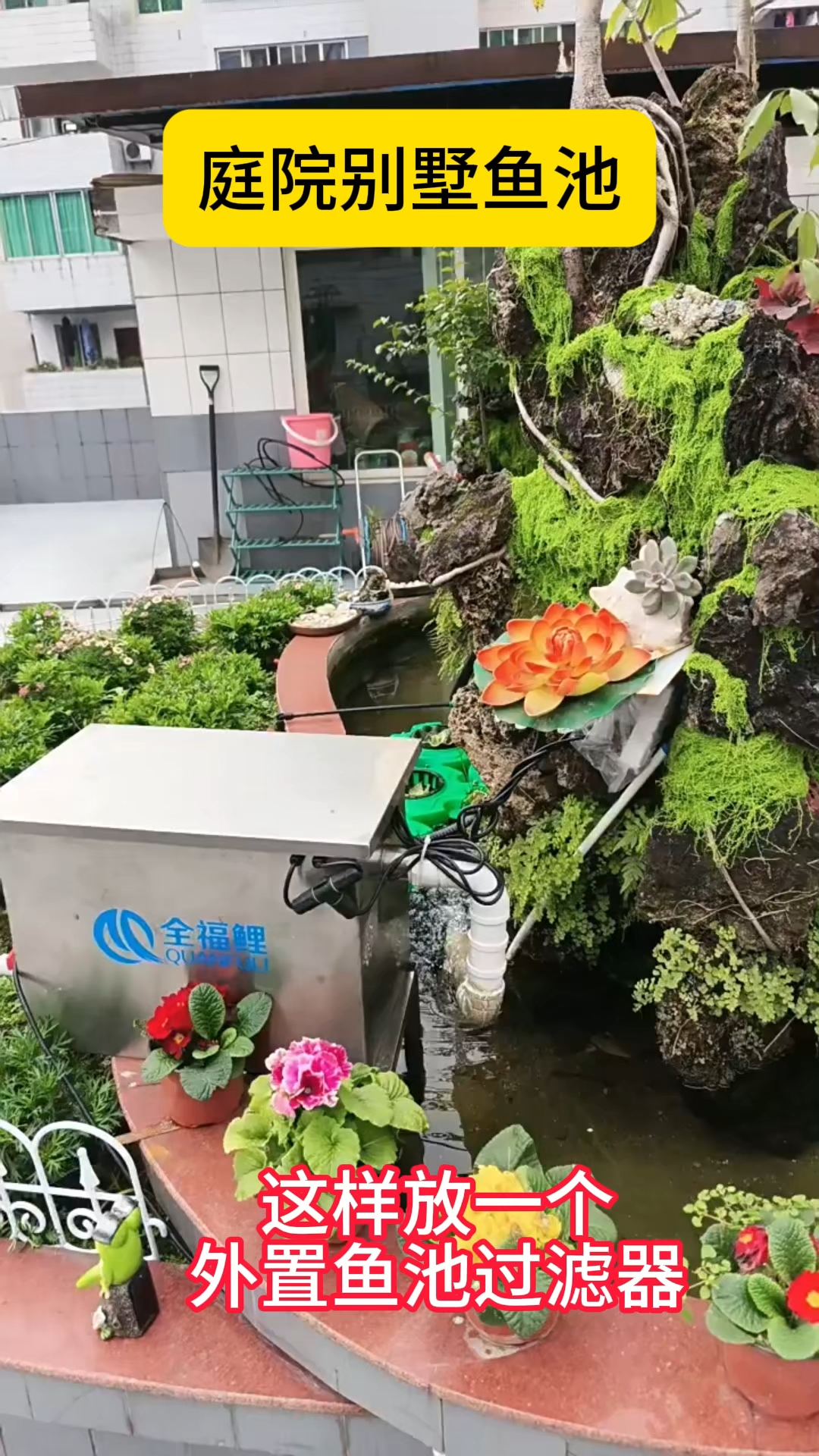 庭院别墅鱼池，安装简单方便#别墅鱼池#鱼池过滤器#庭院鱼池