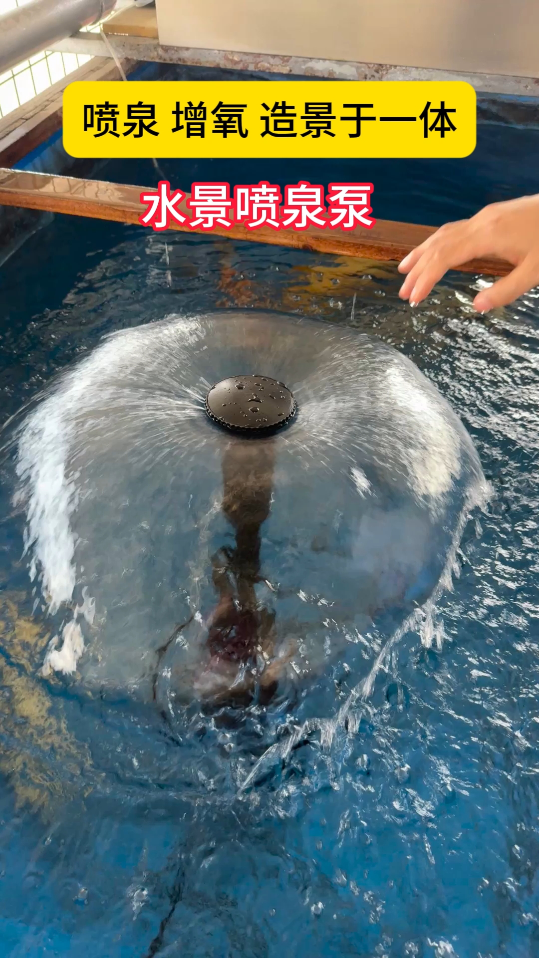 水景喷泉泵,造景喷泉于一体#鱼池喷泉泵#水景喷泉泵#庭院鱼池