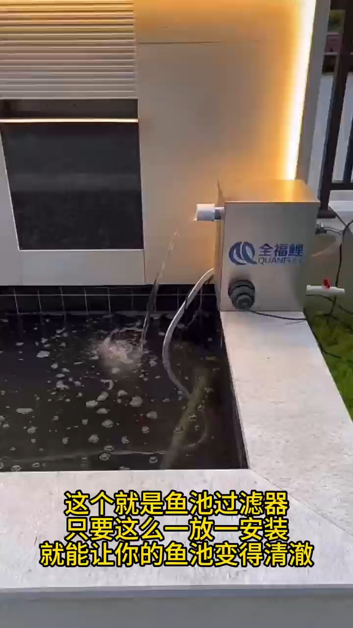 大鱼池小鱼池过滤器通通都有#鱼池过滤器#别墅鱼池#庭院鱼池