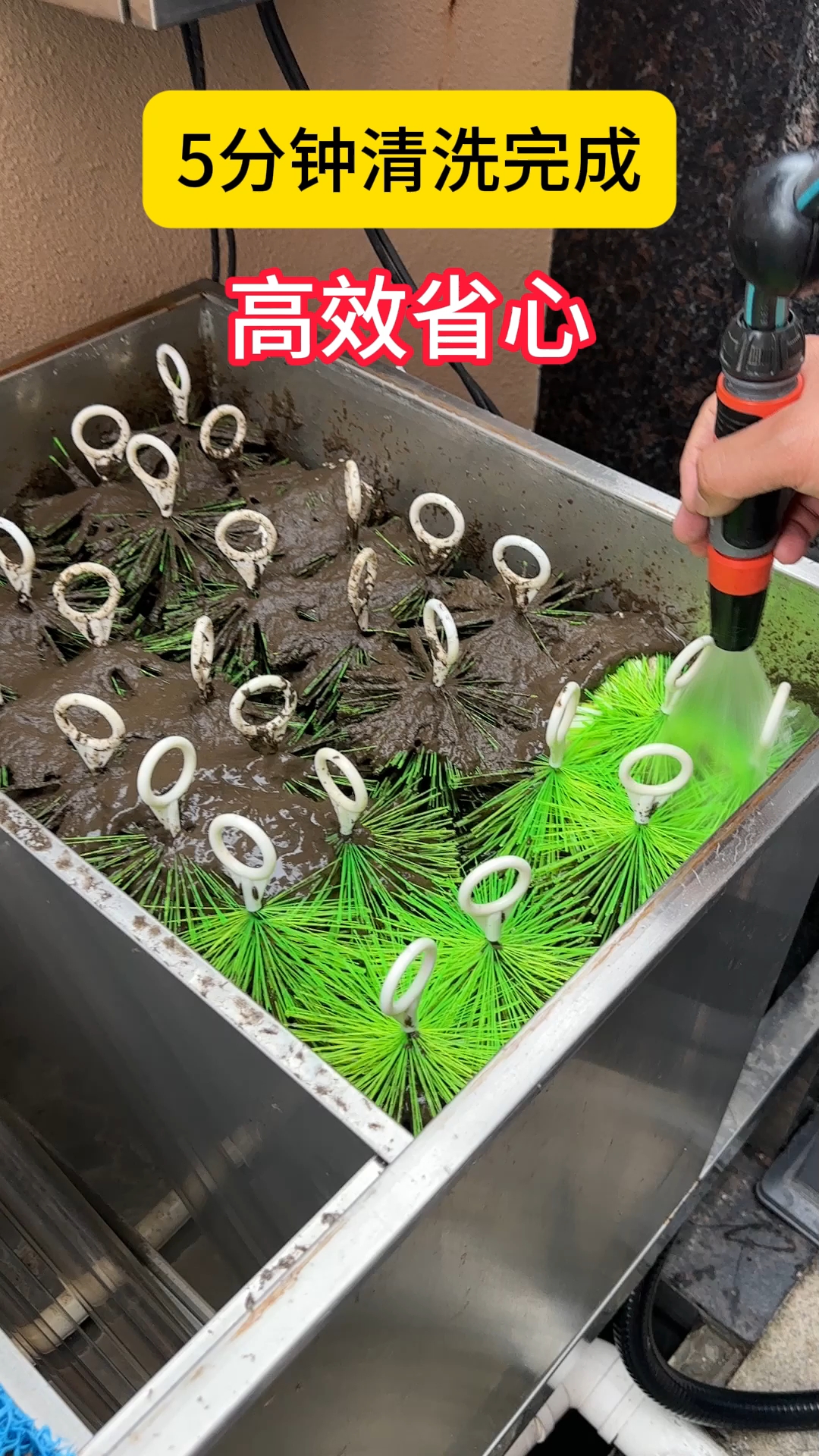 高效过滤,5分钟清洗完成,大流量出水口#鱼池过滤器#庭院鱼池