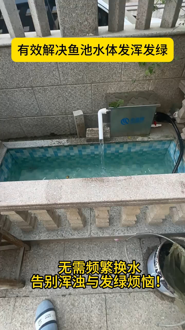 收到货接管就可以用的过滤器#鱼池过滤器#别墅鱼池#庭院鱼池