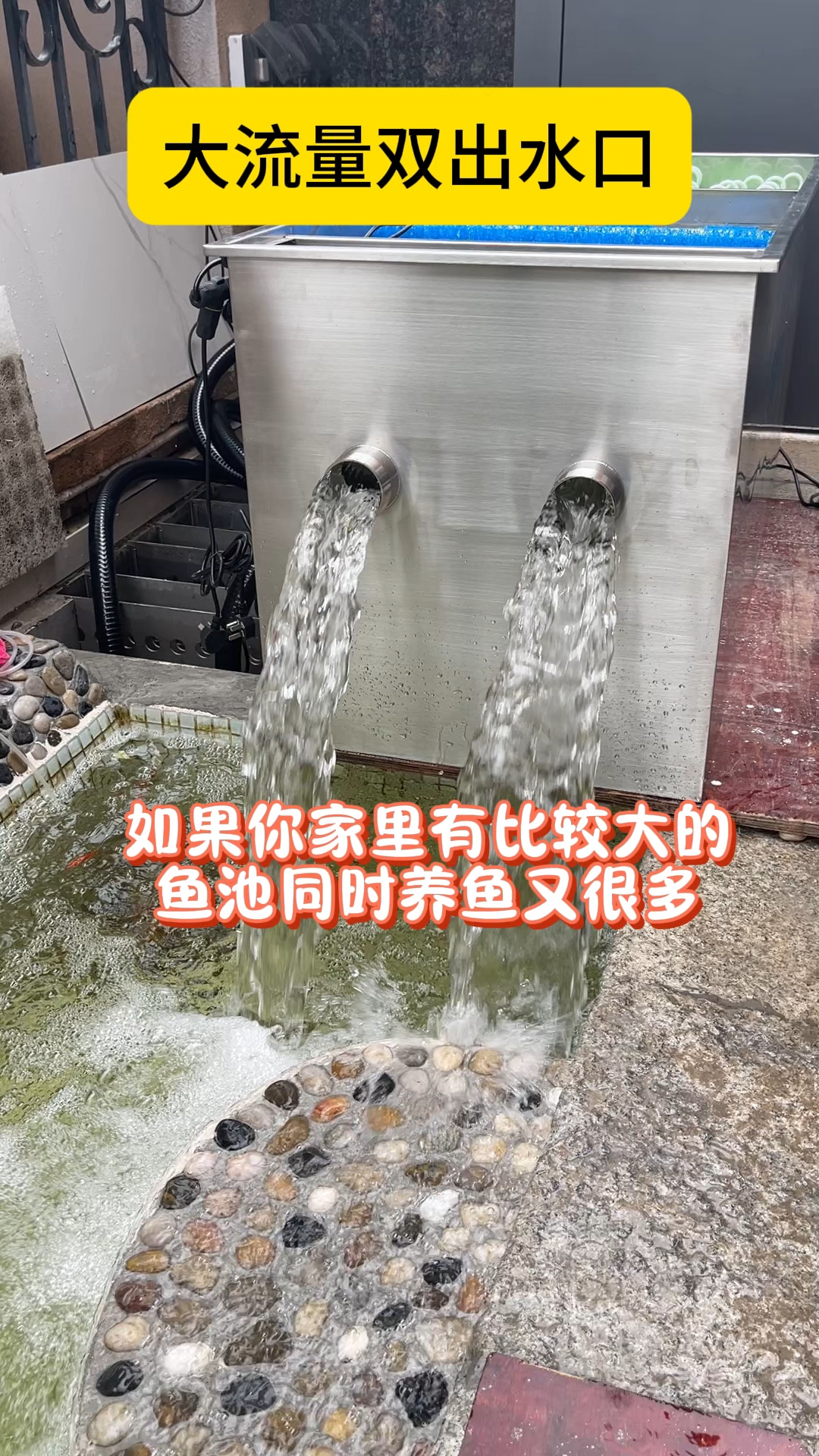 家里有鱼池的,这款过滤器你肯定用的上#鱼池过滤器#庭院鱼池