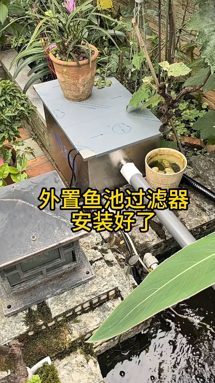 外置鱼池过滤器安装好了#鱼池过滤器#别墅鱼池#庭院鱼池