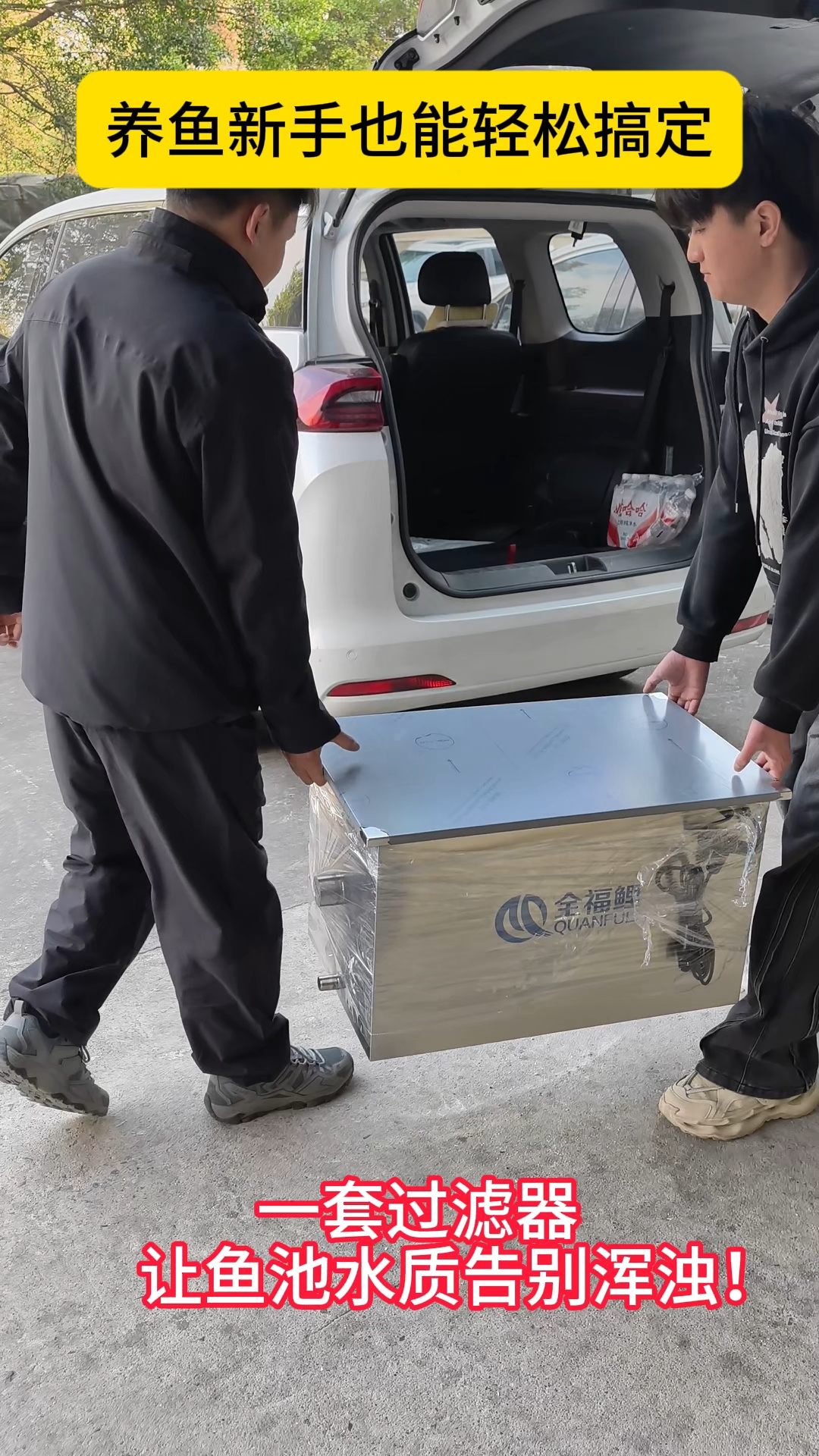 轻松解决鱼池发浑发绿发黑问题#鱼池过滤器#别墅鱼池#庭院鱼池