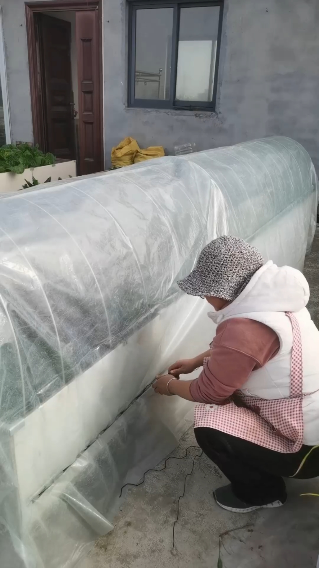 搭小菜棚用卡槽固定简单方便又省钱