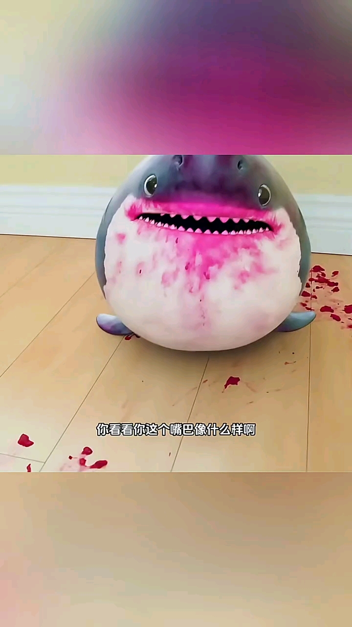 偷吃的小鲨鱼
