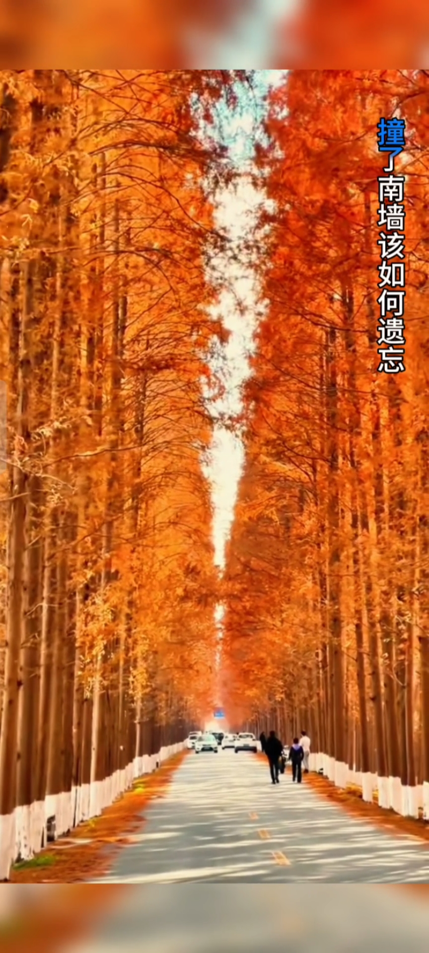 在南京零号路上走走,总会得到宁静和感悟吧!