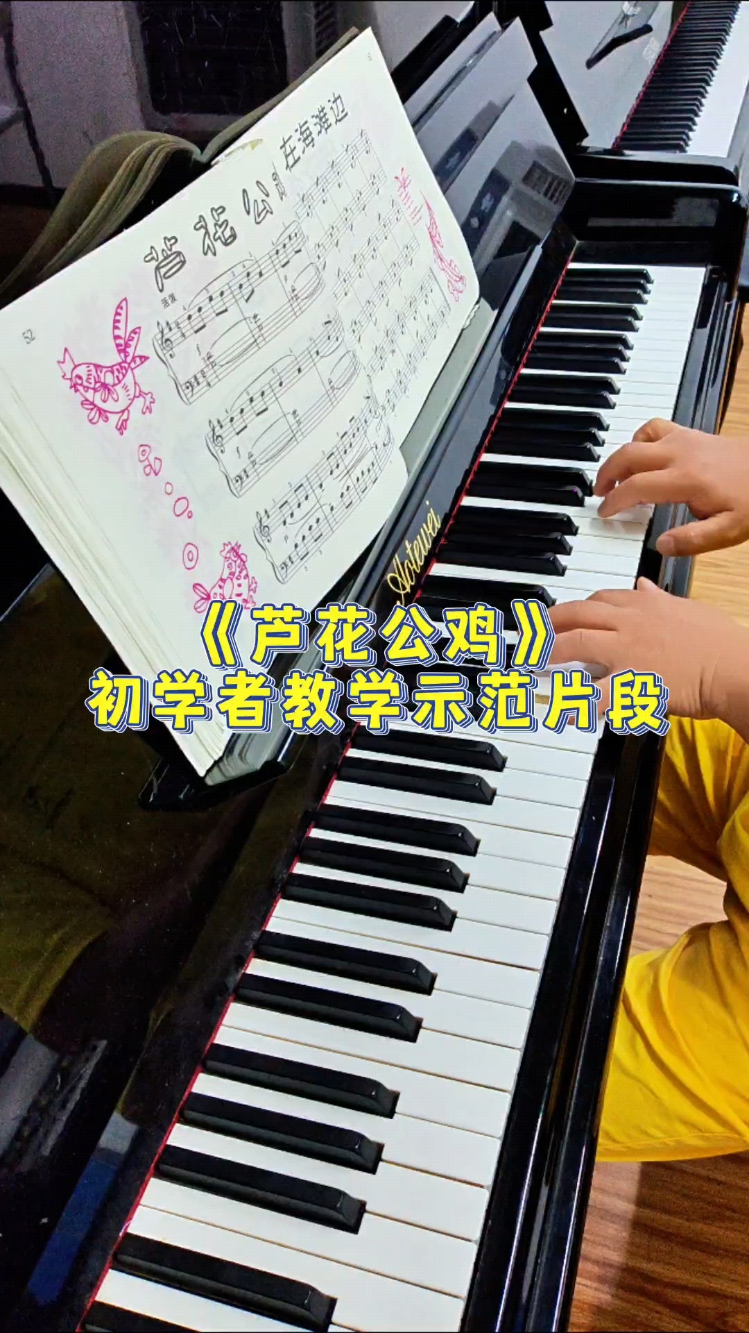 芦花公鸡初学者教学示范片段