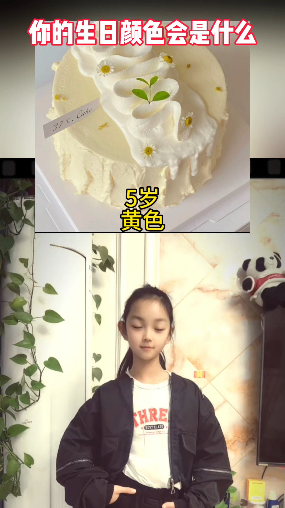 你的生日蛋糕是什么颜色呢