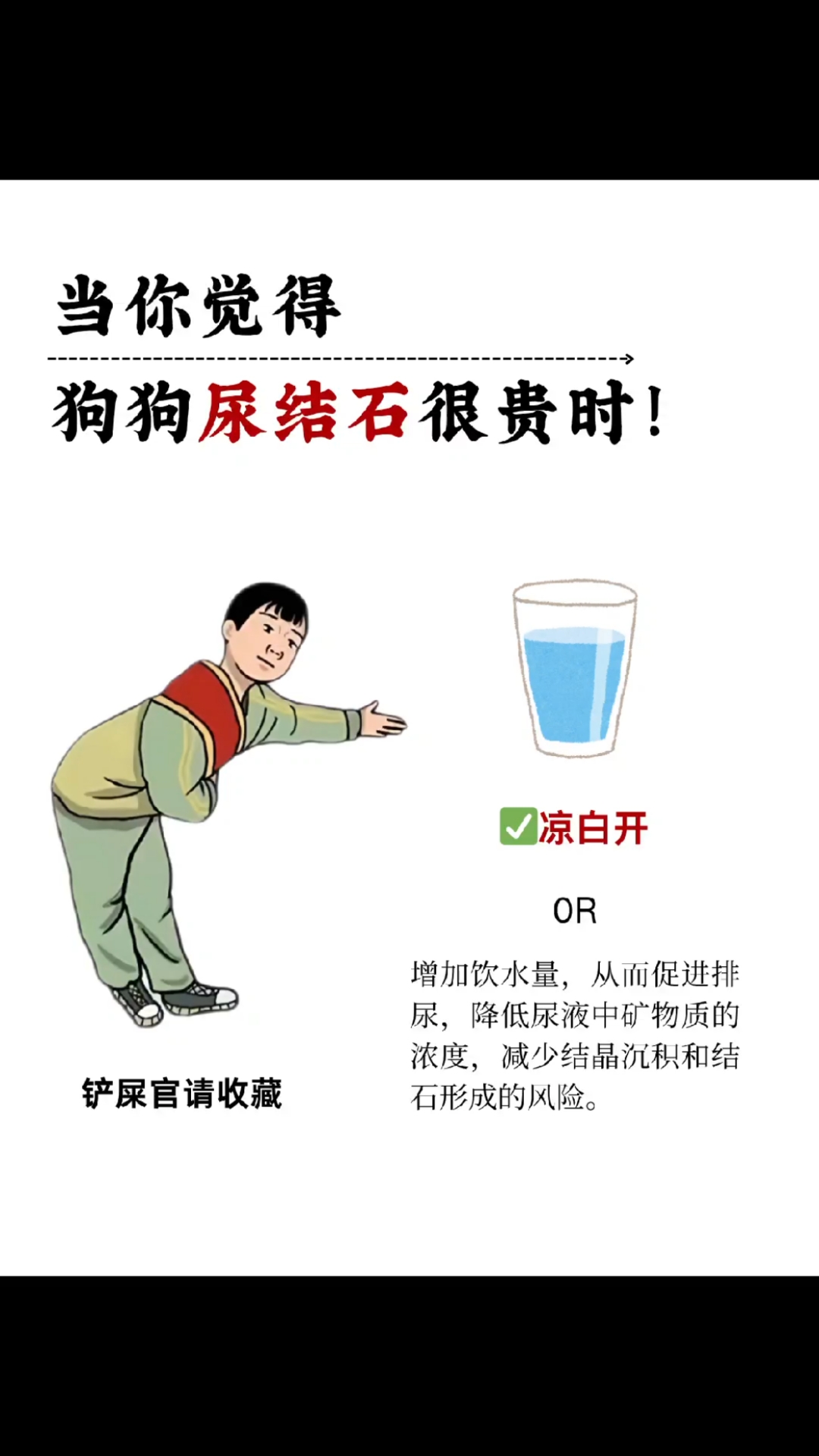 当你觉得狗狗尿结石很贵时