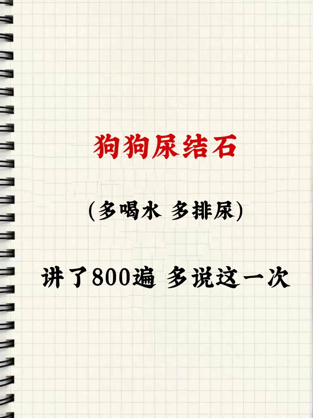 狗狗尿结石要当心!多喝水多排尿是关键!