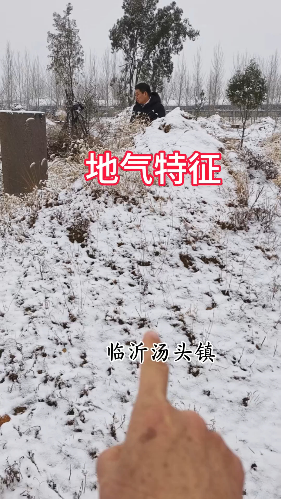 分享视频