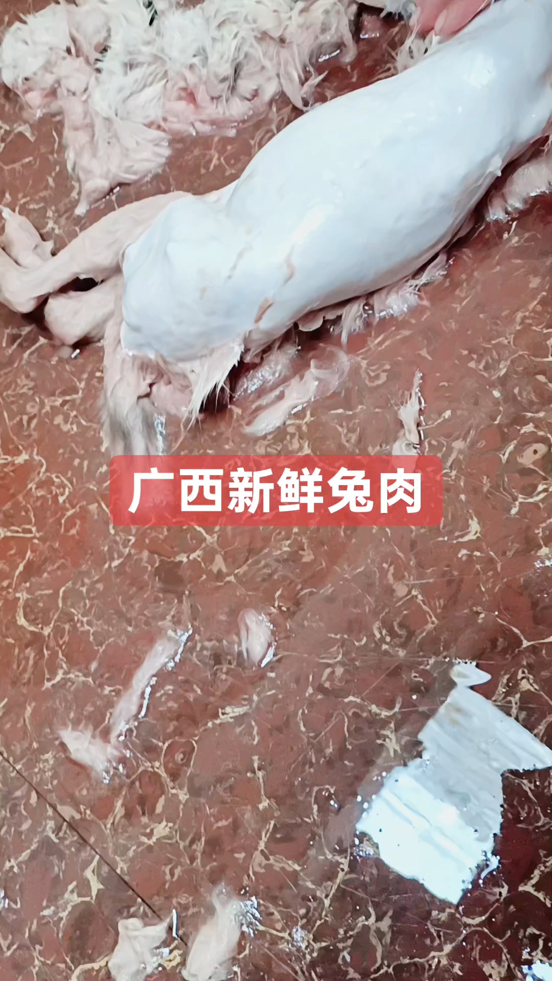 广西新鲜兔肉,爆炒玉兔,黄焖玉兔烤全兔,你吃过了没有?#广西