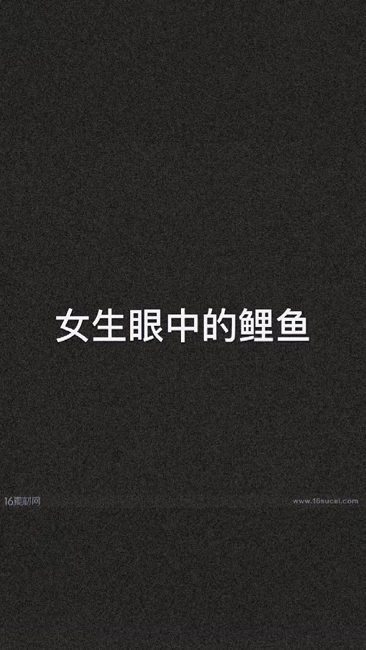 鲤鱼Ace