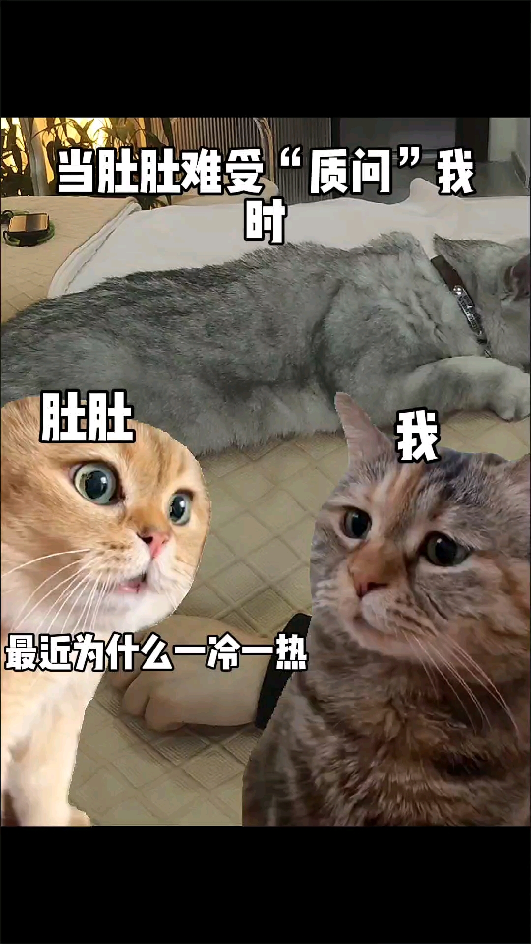 火锅配凉茶,炸鸡配绿茶——只要我及时用「解药」一切就追不上